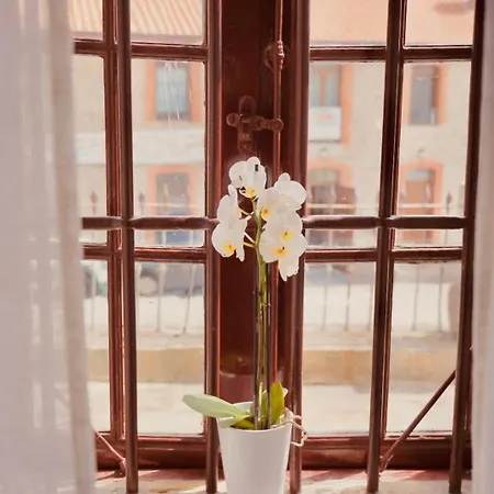 Casa Lomas Privat bolig Arenas de Iguña