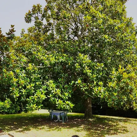 Privat bolig Casa Lomas Arenas de Iguña